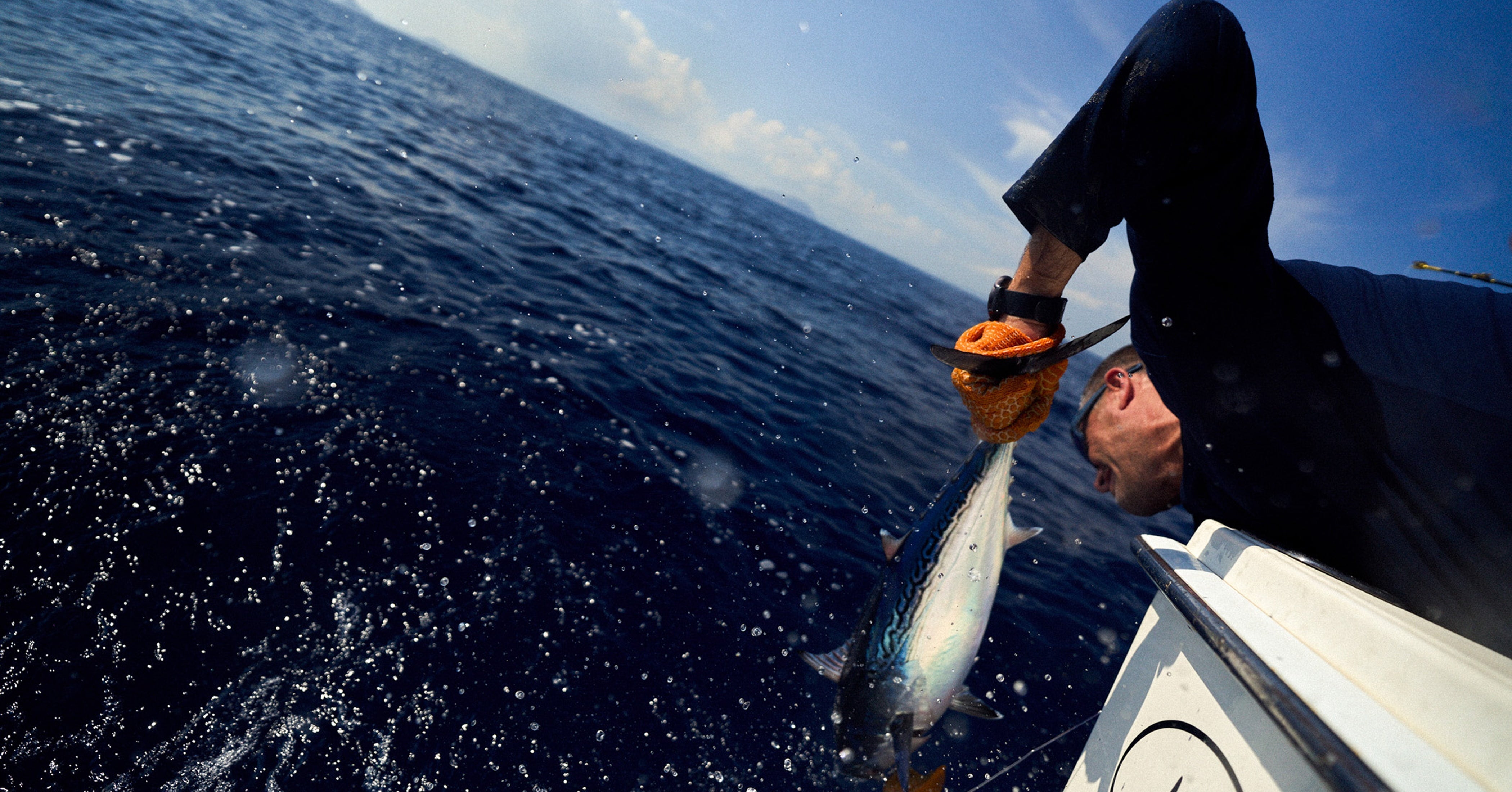 Soles For The Sea: The Story Behind Strike