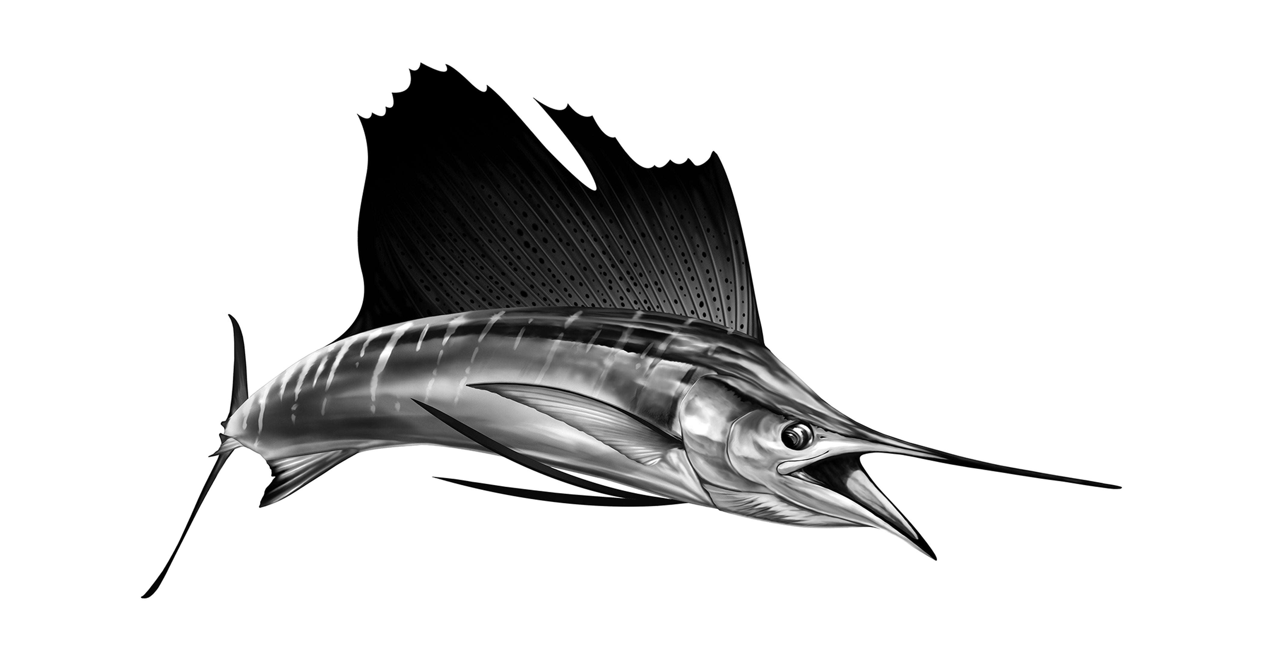 Seven quickfire questions with...Dennis Friel